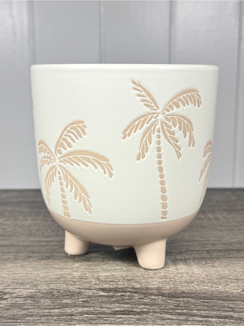 NEW Target Bullseye Playground Palm Tree Small Ceramic Planter